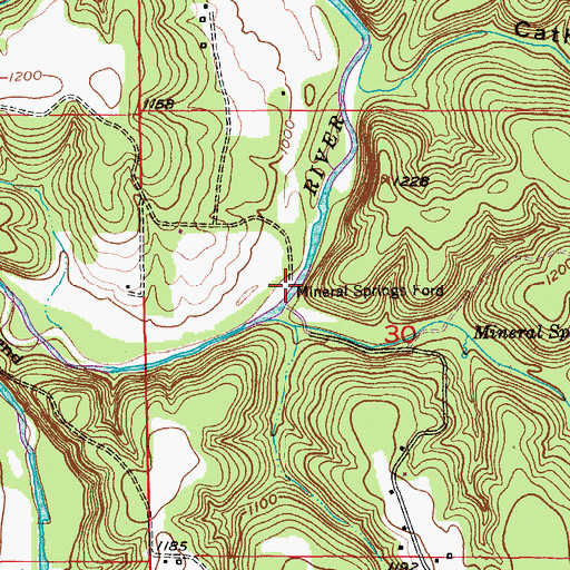 Topographic Map of Mineral Springs Ford, MO