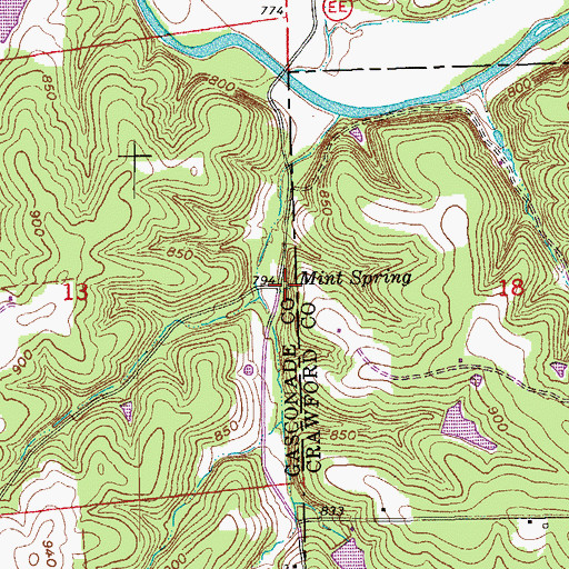 Topographic Map of Mint Spring, MO