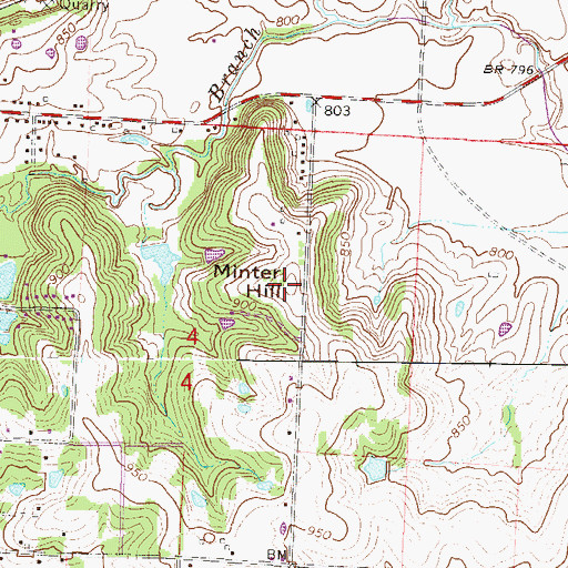 Topographic Map of Minter Hill, MO