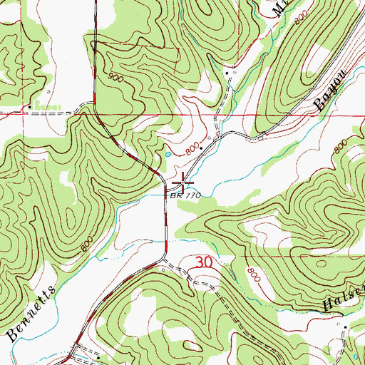 Topographic Map of Mirey Fork, MO
