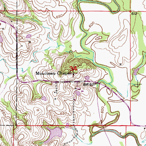 Topographic Map of Moniteau Chapel, MO