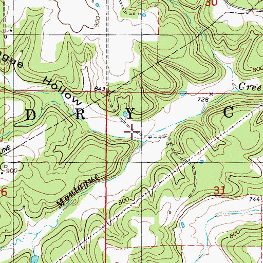 Topographic Map of Montague Hollow, MO