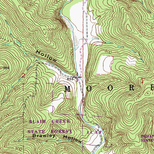 Topographic Map of Mooney Hollow, MO