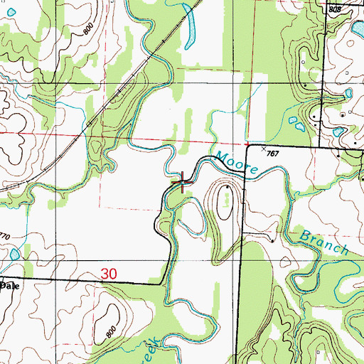 Topographic Map of Moore Branch, MO