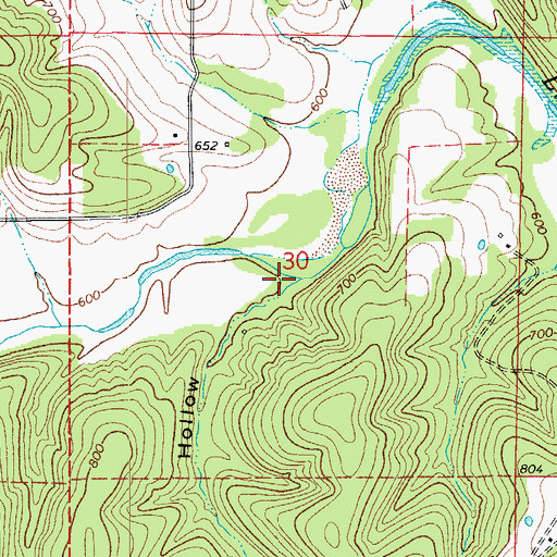 Topographic Map of Moore Hollow, MO