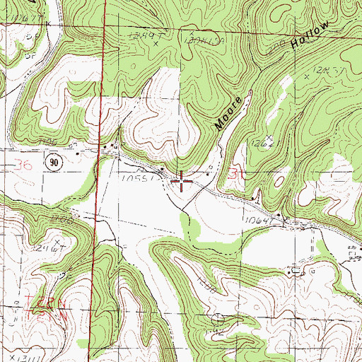 Topographic Map of Moore Hollow, MO