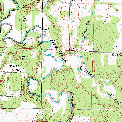 Topographic Map of Moores Branch, MO