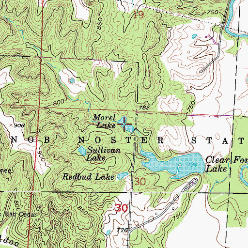 Topographic Map of Morel Lake, MO