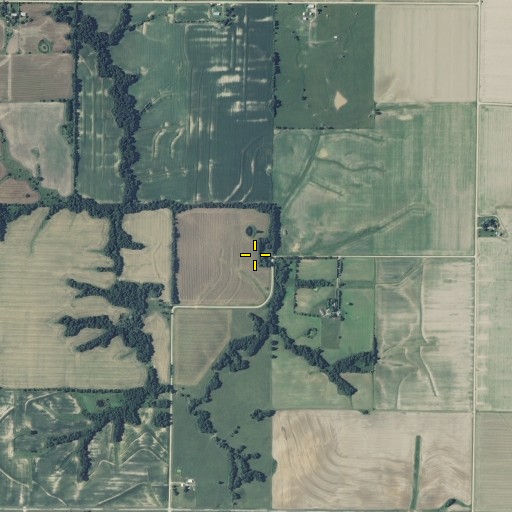 Aerial/Satellite Image of Moreman School, MO