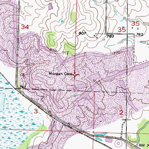 Topographic Map of Morgan Cemetery, MO