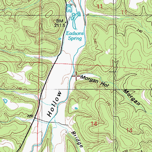 Topographic Map of Morgan Hollow, MO