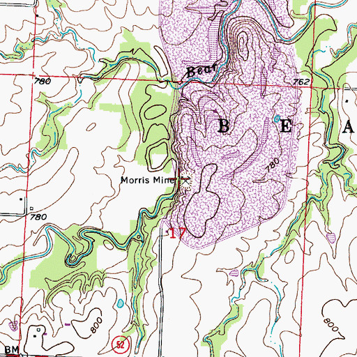 Topographic Map of Morris Mine, MO