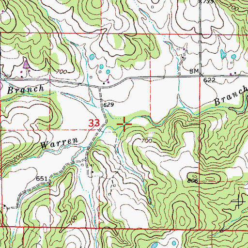 Topographic Map of Morrow Branch, MO