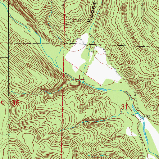 Topographic Map of Koone Hollow, AR