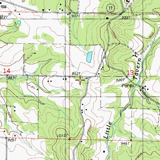 Topographic Map of Mount Gilead Church, MO