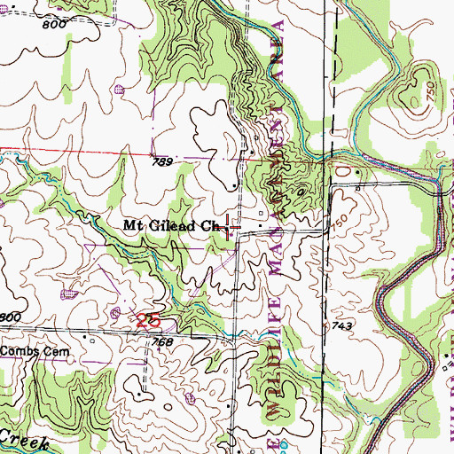 Topographic Map of Mount Gilead Church, MO