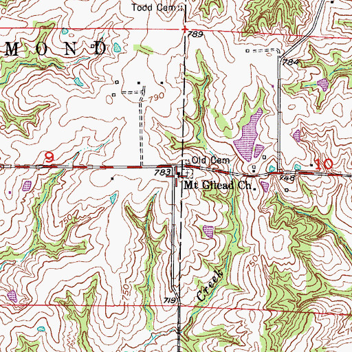 Topographic Map of Mount Gilead Church, MO