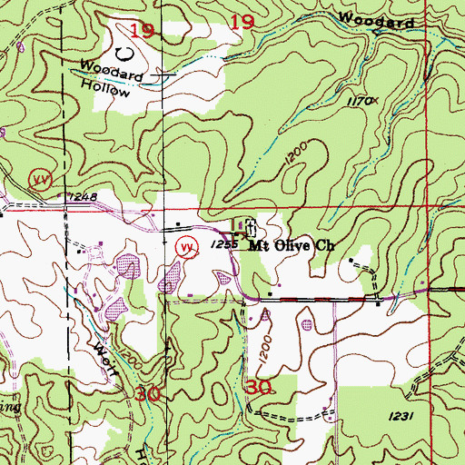 Topographic Map of Mount Olive Church, MO