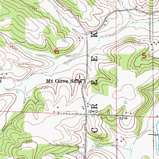 Topographic Map of Mount Olive School, MO
