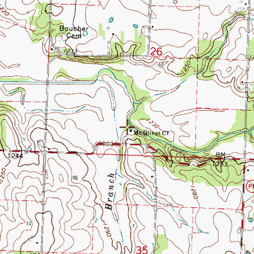 Topographic Map of Mount Olivet Church, MO