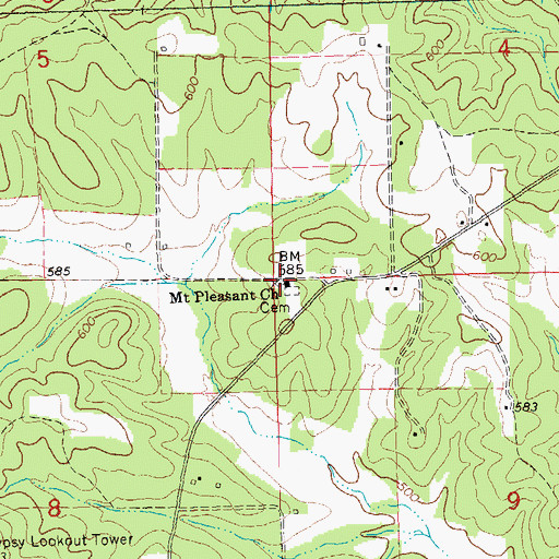 Topographic Map of Mount Pleasant Church, MO