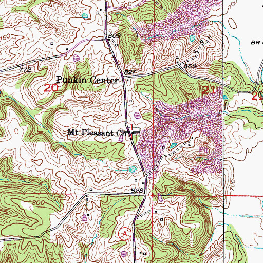 Topographic Map of Mount Pleasant Church, MO