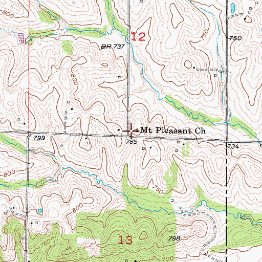 Topographic Map of Mount Pleasant Church, MO