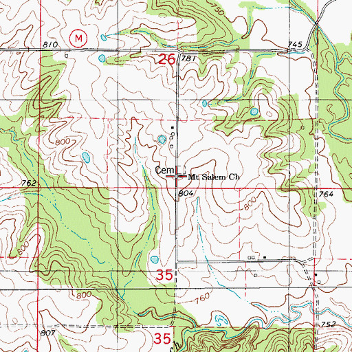 Topographic Map of Mount Salem Church, MO