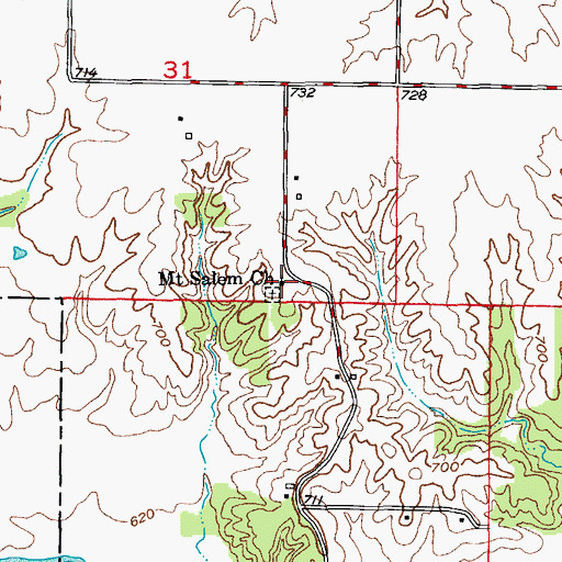 Topographic Map of Mount Salem Church, MO