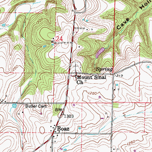 Topographic Map of Mount Sinai Church, MO