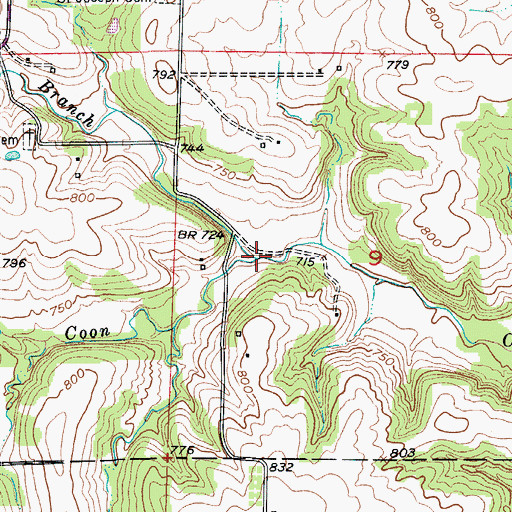 Topographic Map of Mount Vernon Branch, MO