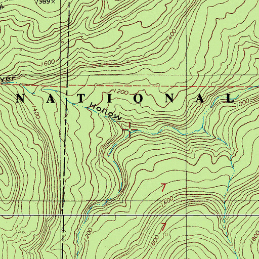 Topographic Map of Lawyer Hollow, AR