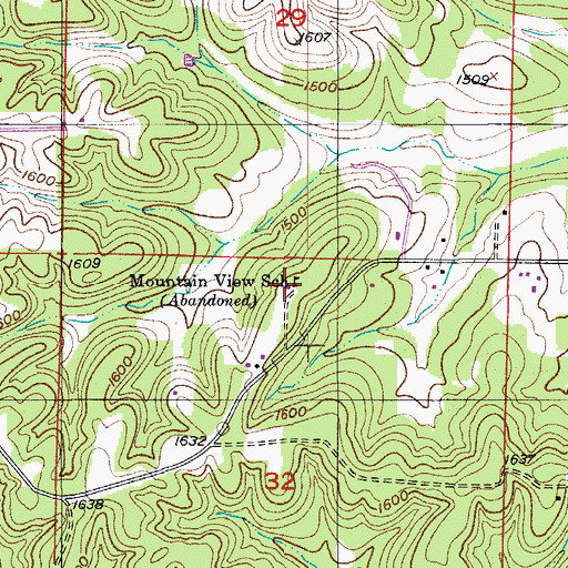 Topographic Map of Mountain View School, MO