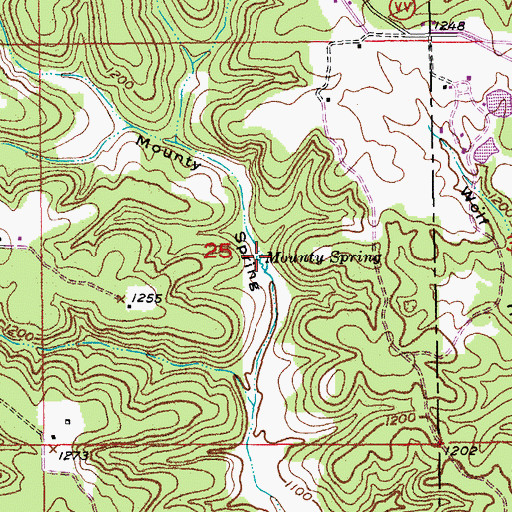 Topographic Map of Mounty Spring, MO