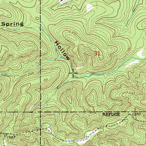 Topographic Map of Mud Spring Hollow, MO