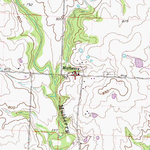 Topographic Map of Mulberry Church, MO