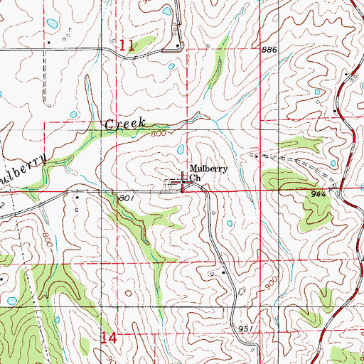 Topographic Map of Mulberry Church, MO
