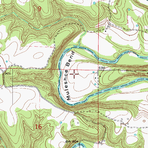 Topographic Map of Muleshoe Bend, MO