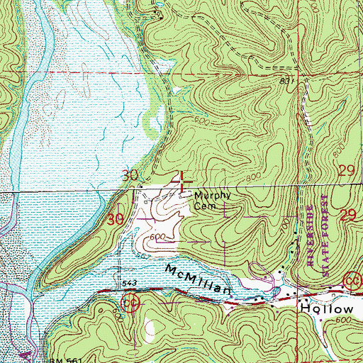 Topographic Map of Murphy Cemetery, MO