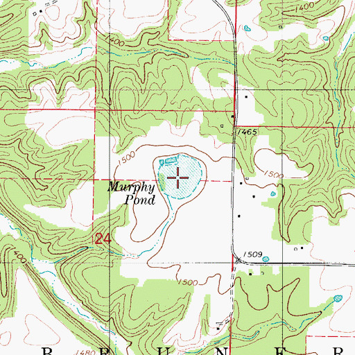 Topographic Map of Murphy Pond, MO