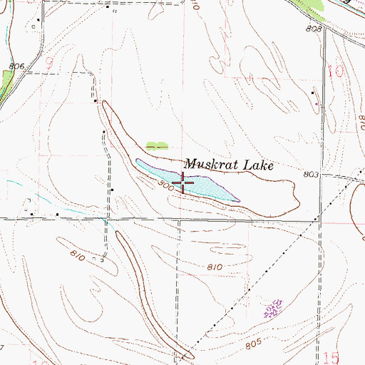 Topographic Map of Muskrat Lake, MO