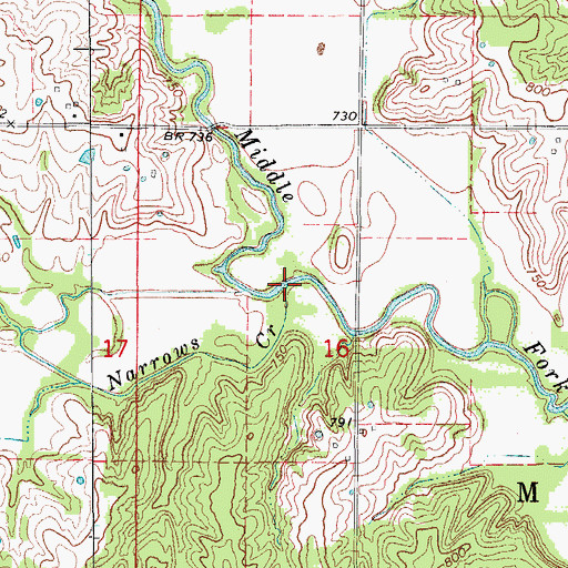 Topographic Map of Narrows Creek, MO