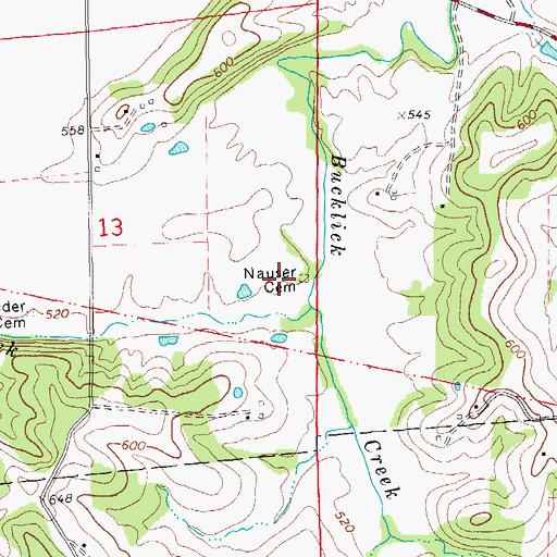 Topographic Map of Nauser Cemetery, MO