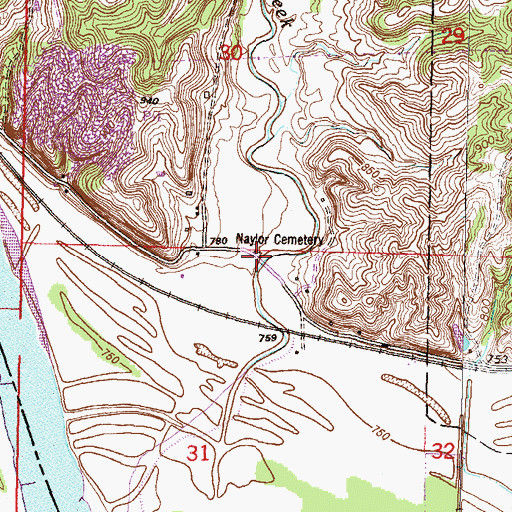 Topographic Map of Naylor Cemetery, MO