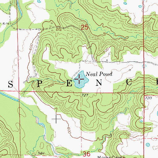 Topographic Map of Neal Pond, MO