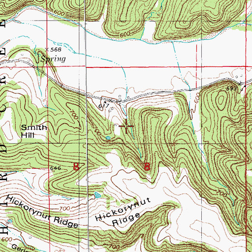 Topographic Map of Neese School, MO