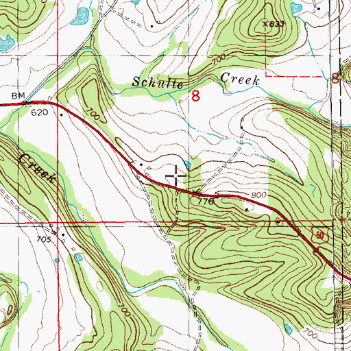 Topographic Map of Neese School, MO