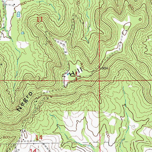 Topographic Map of Negro Hill, MO