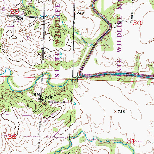 Topographic Map of Nelson Creek, MO