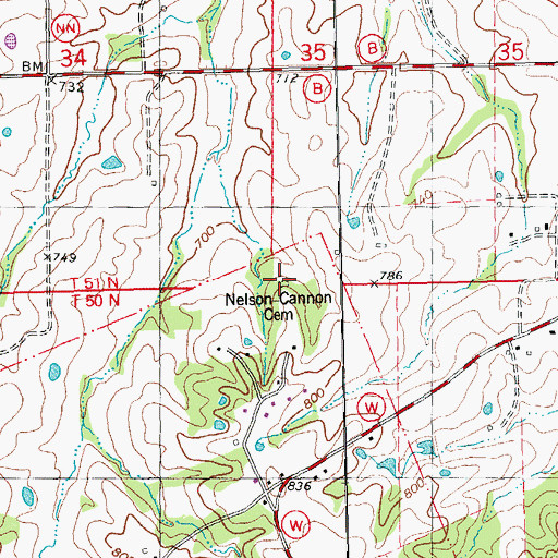 Topographic Map of Nelson-Cannon Cemetery, MO